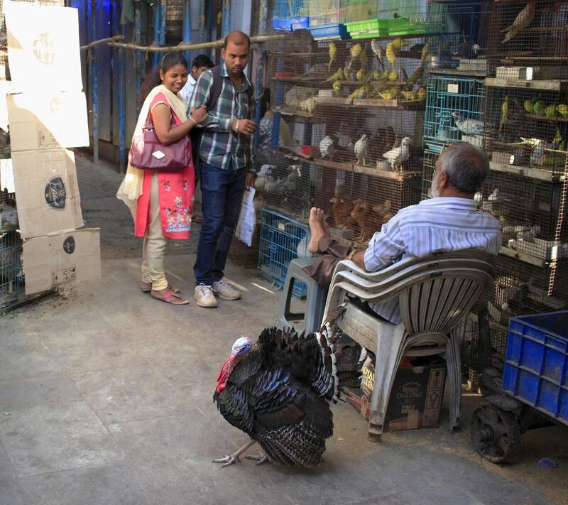 There is a large pet animal market at the other end of Crawford Market livestock, birds and poultry are sold. Subhash Sharma for The National
