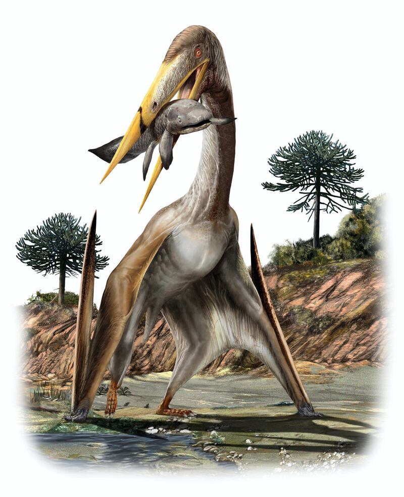 This pterosaur is called Alanqa saharica. Davide Bonadonna