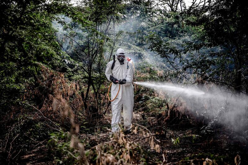 A man sprays around a wooded area.