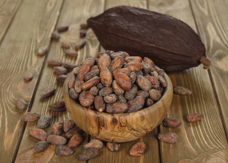 Cacao is the natural and unprocessed seed of the Theobroma cacao tree, while cocoa is the powder left behind after the beans have been processed. iStockphoto.com