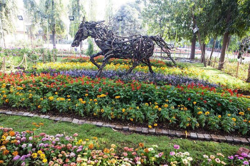 Geraniums, Pectinenthus Purple & other colorful flowers adorn the Horse Garden. Subhash Sharma for The National