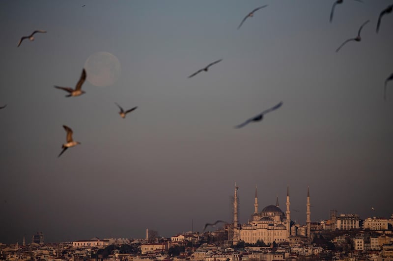 Birds fly as a full Snow Moon goes down over  the Blue Mosque in Istanbul, Turkey.  EPA