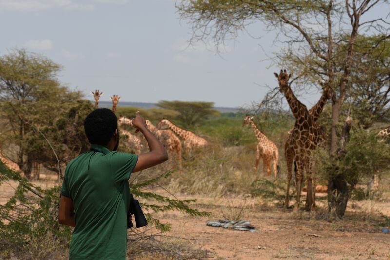 Dr Abdullahi Ali, the founder of a UAE-backed giraffe conservation project in north-eastern Kenya. All photos: Somali Giraffe Project