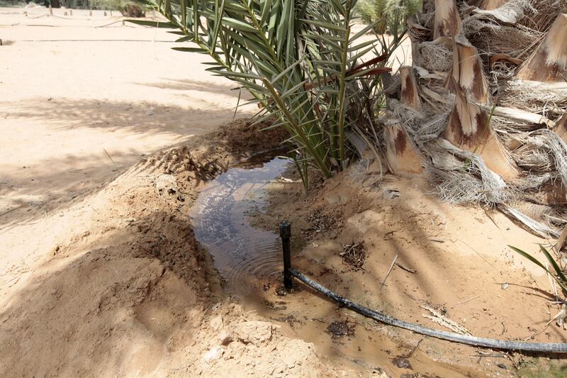 Masdar’s study has raised some alarming questions about groundwater depletion that suggest irrigation and fresh water uses may well be at odds. Jeffrey E Biteng / The National