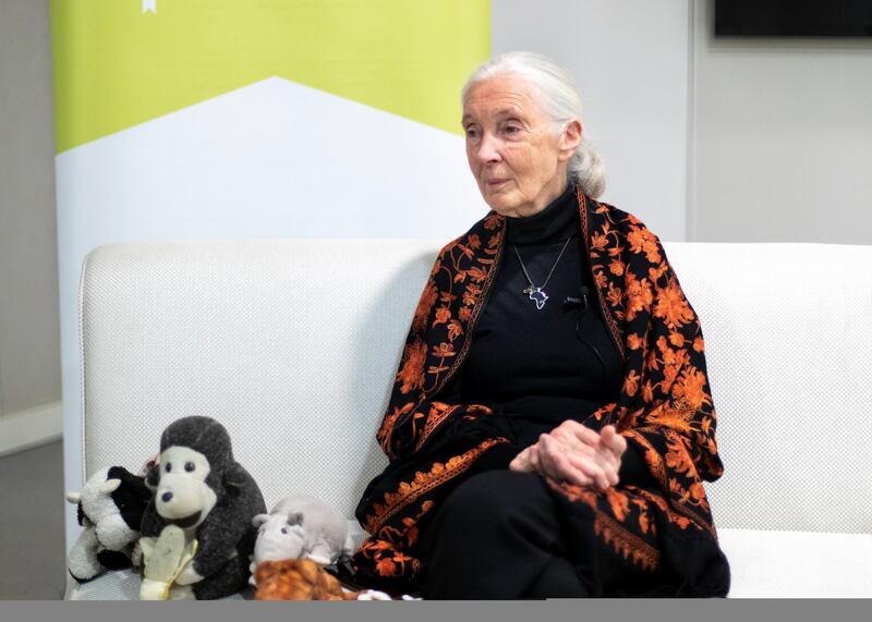DUBAI, UNITED ARAB EMIRATES. 1 FEBRUARY 2020. 
Dame Jane Morris Goodall DBE, is an English primatologist and anthropologist.

(Photo: Reem Mohammed/The National)

Reporter: ASHLIEGH STEWART
Section: NA