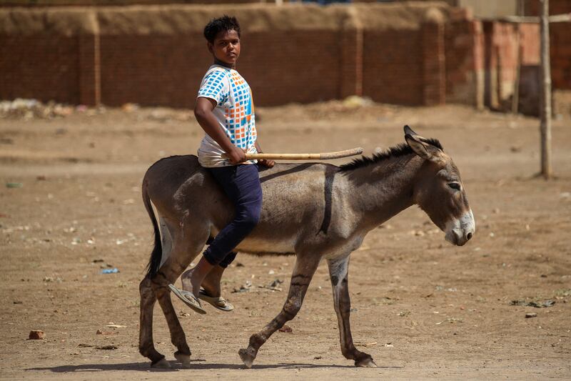 A Sudanese boy rides his donkey in the village.