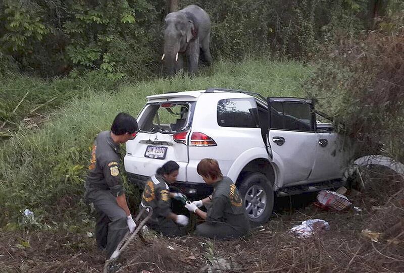 Rescue workers inspect the site where a vehicle crashed with an elephant at a roadside in Rayong province, east of Bangkok, Thailand on March 12. Six people were killed. Thai news reported that the elephant broke its legs. Reuters
