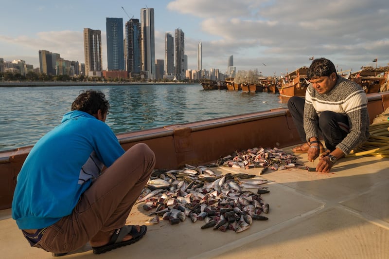 Two men cut fish on board a dhow. About 130 of the traditional wooden fishing vessels are moored at Mina Zayed. Courtesy Sohail Karmani