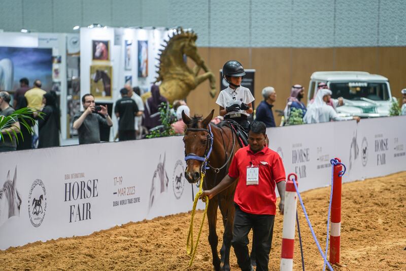 The 20th Dubai International Arabian Horse Championship is being held alongside the 17th Dubai International Horse Fair.