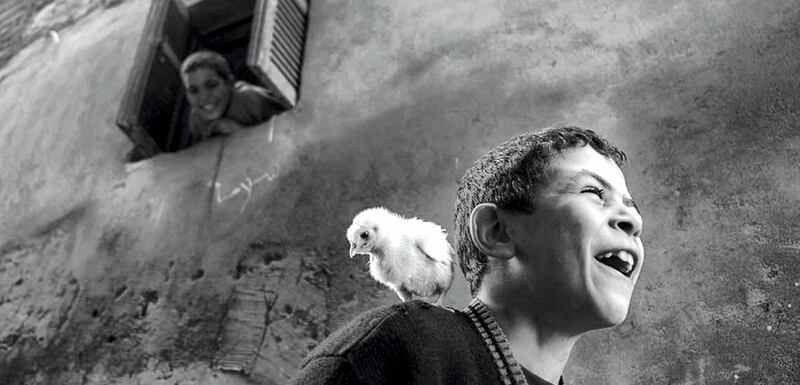 MOHAMED MAHDY HAPPINESS EGYPT
I found this child in this old city called El Borg playing with his little chicken and call it his best friend while his brother was watching from the window the chicken starts to bite him then this moment comes.

2017 winners PHOTODOCUMENTARY WINNER
PHOTODOCUMENTARY WINNER
FATIMA SHBAIR PALESTINIAN WEDDING - HENNA NIGHT GAZA PALESTINE
"Henna Night in villages is the most important night for the bride, it precedes the wedding night by a day or two. Its an old Palestinian custom in which relatives and friends of the bride gather to celebrate her, say goodbye to her as it's her last night in her father's house and sing sad folk songs called (Al-Tarwida), which depicts the bride clings to her family and friends. In this night, many brides wear the traditional costume, which is, according to the Palestinian heritage, the embroidered Palestinian dress. These pictures show joy and celebration moments of the bride that starts from preparing her for this night to the moments of bringing the candles-decorated henna that represent a Palestinian tradition and the final moments of celebrations full of dancing and singing. "

2017 winners PHOTODOCUMENTARY WINNER
PHOTODOCUMENTARY WINNER
FATIMA SHBAIR PALESTINIAN WEDDING - HENNA NIGHT GAZA PALESTINE
"Henna Night in villages is the most important night for the bride, it precedes the wedding night by a day or two. Its an old Palestinian custom in which relatives and friends of the bride gather to celebrate her, say goodbye to her as it's her last night in her father's house and sing sad folk songs called (Al-Tarwida), which depicts the bride clings to her family and friends. In this night, many brides wear the traditional costume, which is, according to the Palestinian heritage, the embroidered Palestinian dress. These pictures show joy and celebration moments of the bride that starts from preparing her for this night to the moments of bringing the candles-decorated henna that represent a Palestinian tr