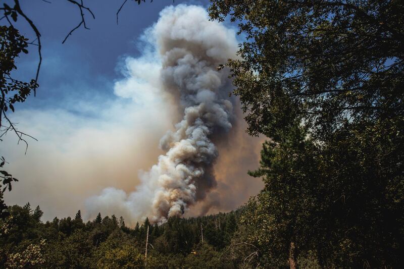 The Oak Fire burns in northern California. AP