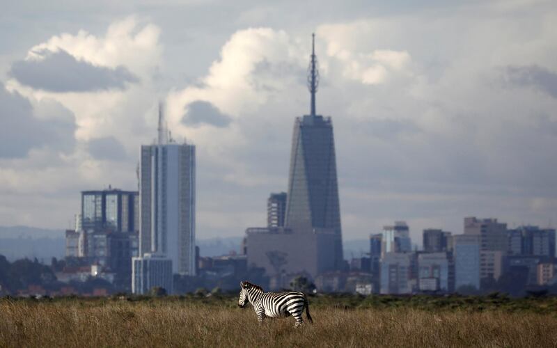 The Nairobi skyline is seen in the background as a zebra walks through the city's National Park, Kenya. Reuters