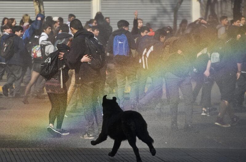 A dog runs through a rainbow formed from the mist of a police water cannon during a protest for education reform in downtown in Santiago, Chile. Esteban Felix / AP Photo