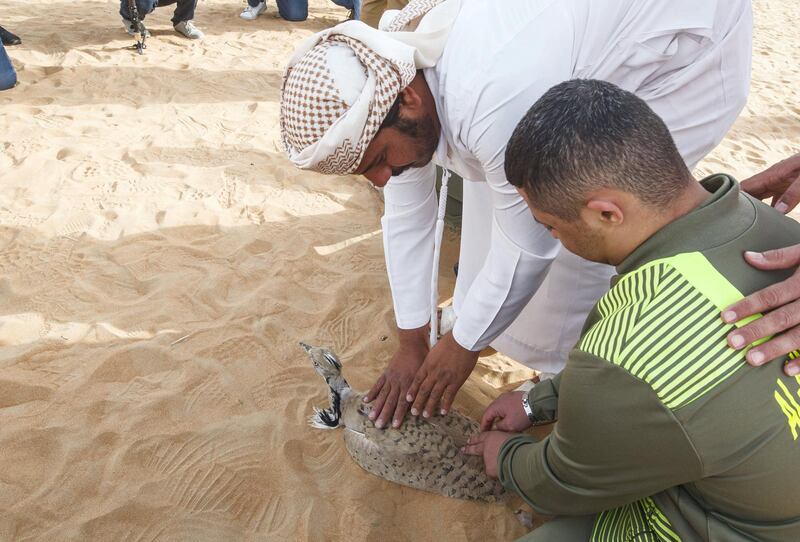 AL AIN, UNITED ARAB EMIRATES - IFHC staff helping a member of the UAE Special Olympics on how to release a bird at the release of 50 Houbara birds into their Habitat of the UAE desert by The International Fund for Houbara Conservation (IFHC).  Leslie Pableo for The National