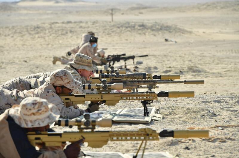 Joint military exercises were held by the UAE and United States. Courtesy UAE Ministry of Defence