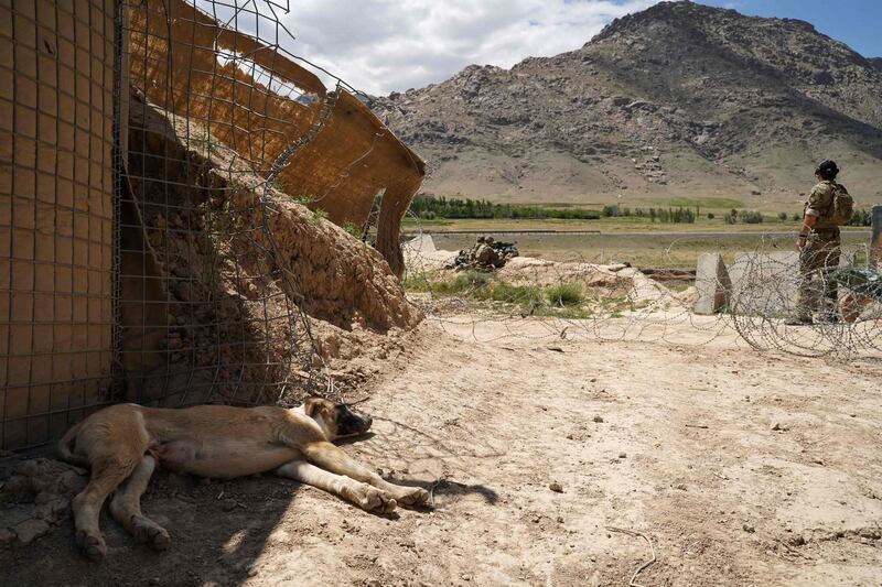 In this photo taken on June 6, 2019, US soldiers (C) look out over hillsides during a visit by the commander of US and NATO forces in Afghanistan General Scott Miller at the Afghan National Army (ANA) checkpoint in Nerkh district of Wardak province. A skinny tangle of razor wire snakes across the entrance to the Afghan army checkpoint, the only obvious barrier separating the soldiers inside from any Taliban fighters that might be nearby. - To go with 'AFGHANISTAN-CONFLICT-MILITARY-US,FOCUS' by Thomas WATKINS
 / AFP / THOMAS WATKINS / To go with 'AFGHANISTAN-CONFLICT-MILITARY-US,FOCUS' by Thomas WATKINS
