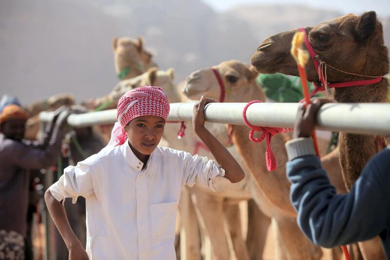 Jordanians race their camels in front of  Emirati Sheikh Sultan Bin Hamdan Bin Zayed Al Nahyan, President of the Arab Camel Racing Federation and with the presence of Prince Asem Bin Nayef, Vice President of the Jordan Royal Equestrian Federation, during the annual camel race in its second and final day on Friday November 3, 2017 that takes place at the Sheikh Zayed al Nahyan track in Wadi Rum, Jordan. (Salah Malkawi for The National)