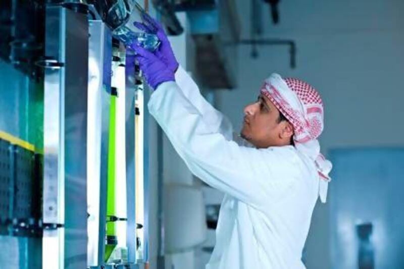 Ahmed Al Harethi, a second year Master's student with Masdar Institute's Chemical Engineering Programme, is cultivating algae strains found in water pools in Al Wathbah for his biofuel research. Courtesy Masdar Institute