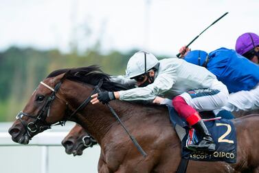 Jockey Frankie Dettori riding Palace Pier wins The St James's Palace Stakes on day five of the Royal Ascot horse racing meet, in Ascot, west of London, on June 20, 2020, which is taking place behind 'closed doors' due to the ongoing novel coronavirus pandemic. / AFP / POOL / Edward Whitaker