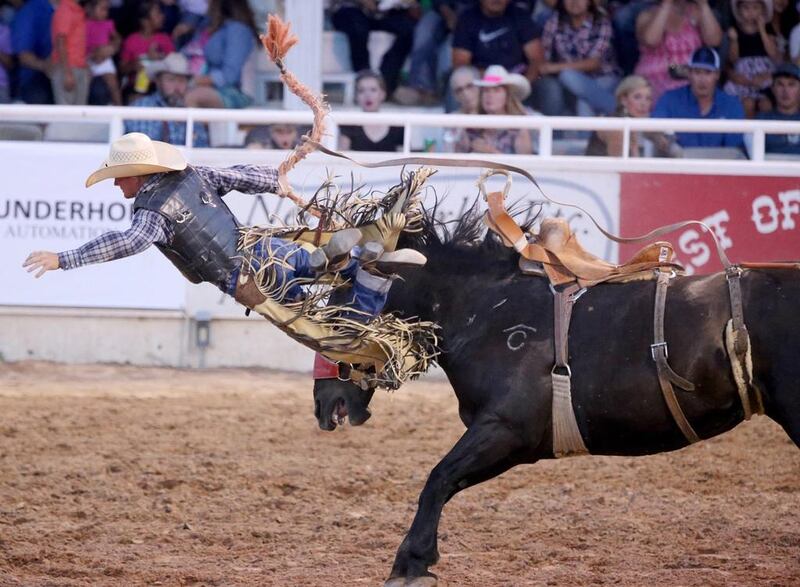 Brewster Guin gets bucked off of Social Call during the second performance of the West of the Pecos Rodeo at the Buck Jackson Arena in Pecos, Texas USA. Edyta Blaszczyk / Odessa American / AP