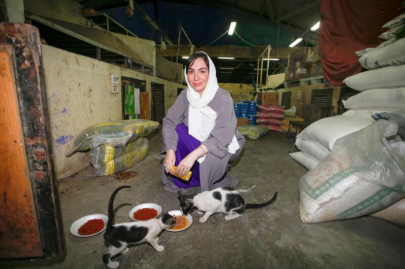 Dubai, United Arab Emirates - July 19th, 2017: Dr Manal Al Mansoori at the Fish Market, Deira. The story is about how an effective TNR programme to deal with stray cats can have a positive effect on tourism and business. Wednesday, July 19th, 2017, Deira in Dubai. Chris Whiteoak for The National