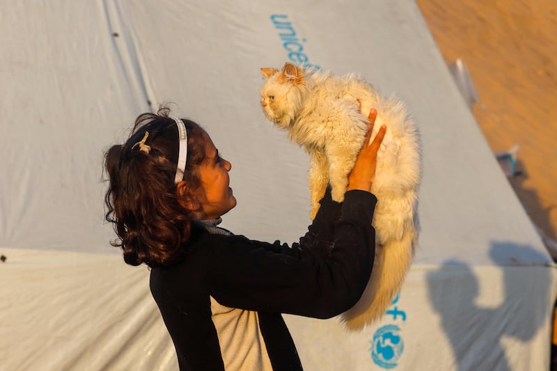 A girl plays with a cat at a camp in Rafah. AFP