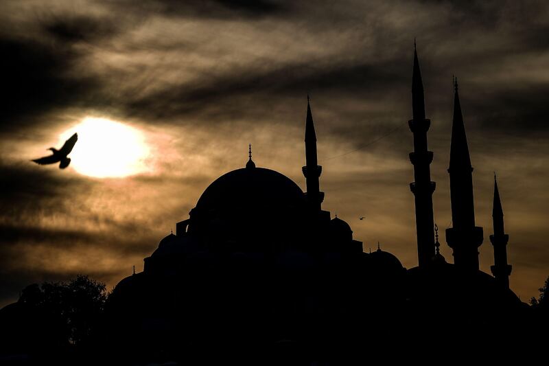 A seagull flies over Eminonu district as the Suleymaniye mosque is seen in the background. Ozan Kose / AFP Photo