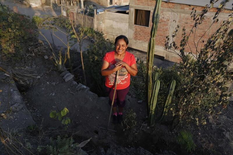 Maria del Pilar Condorcule in her organic garden in Gosen City. Condorcule reclaimed the land for her garden from a garbage dump and is now planting vegetables with her neighbours. Mariana Bazo / Reuters