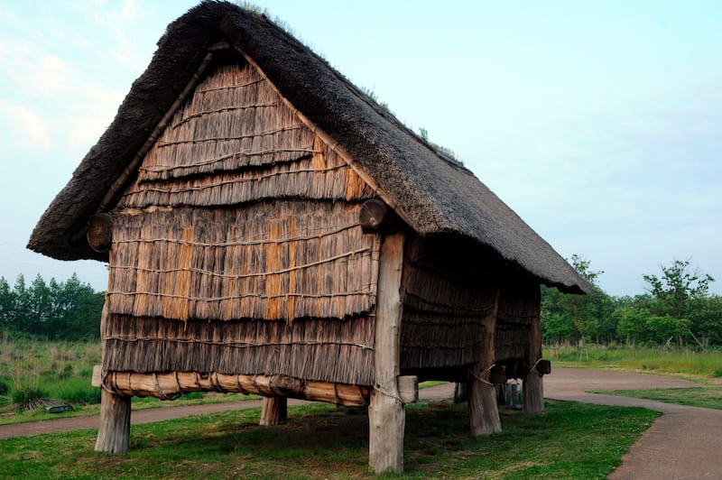 Aa reconstructed ancient Japanese building with a thatched roof and walls on the excavation site of Sannai Maruyama ruins near Aomori city, Aomori province, Japan.  The Jomon culture (13,000 B. C.  to roughly 300 B. C. ) archaeological sites became a Unesco World Cultural Heritage Site.