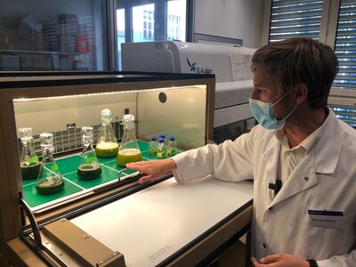 Dr Alexander Mathys cultivating microalgae to grow protein meat alternatives at Zurich University. Photo: ETH Zurich