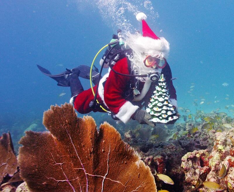 Spencer Slate, garbed as Santa Claus, scuba dives in the Florida Keys National Marine Sanctuary off Islamorada, Florida. Each year, Mr Slate dons the costume to provide underwater holiday photo opportunities for his dive shop customers as a fundraiser to sponsor Christmas gifts for a local children’s charity. Andy Newman / AP