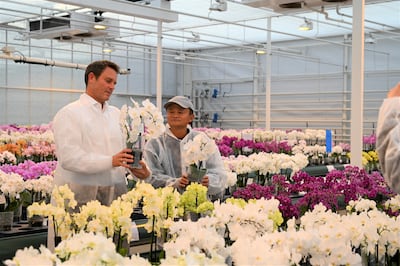 Jack Ma visiting a Dutch flower grower in Bleiswijk, Netherlands, in October last year. Reuters