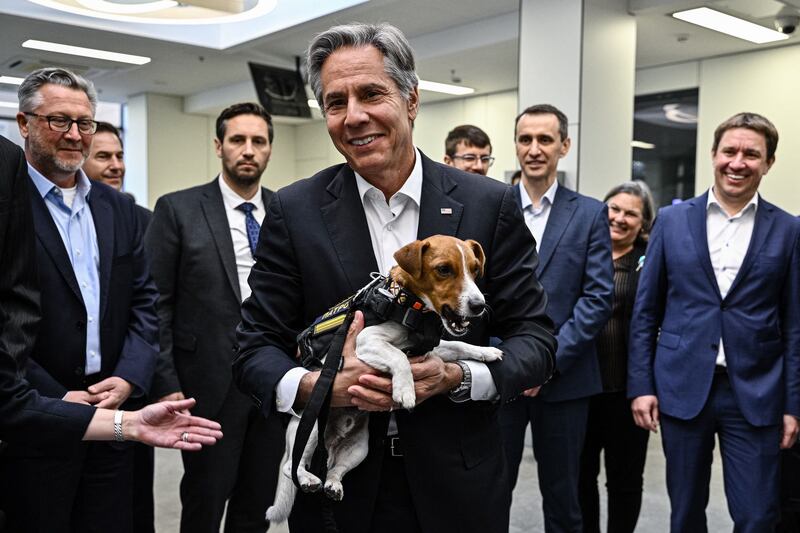 US Secretary of State Antony Blinken holds landmine sniffer dog, Jack Russell terrier Patron during his visit to a children's hospital in Kyiv. AFP