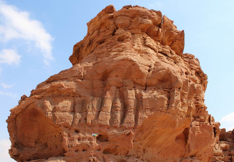 Previously, it was thought that the ancient camel sculptures found in the northern province of Al Jouf were around 2,000 years old.