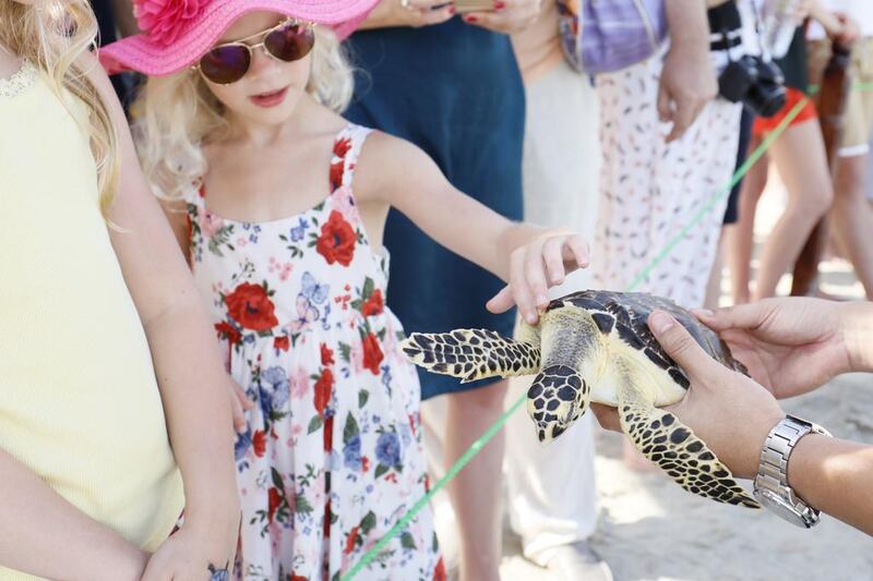 Children from Dubai British School were among the turtle fans who gave 70 of rescued reptiles a Gulf send-off. Courtesy Jumeirah