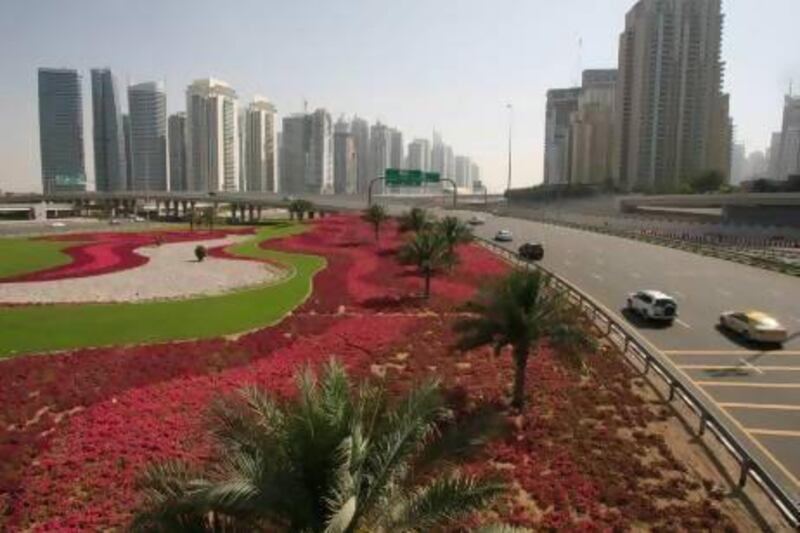 A reader says people should cooperate with the Government to keep the UAE greeen. Randi Sokoloff / The National