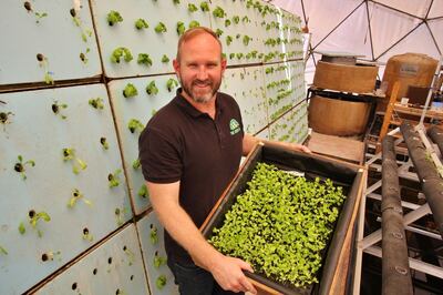 The Green Hub managing director Kevin Schiltz holds up some of the plants he ahs grown as a result of aquaponic technology. Photo by Charlie Faulkner