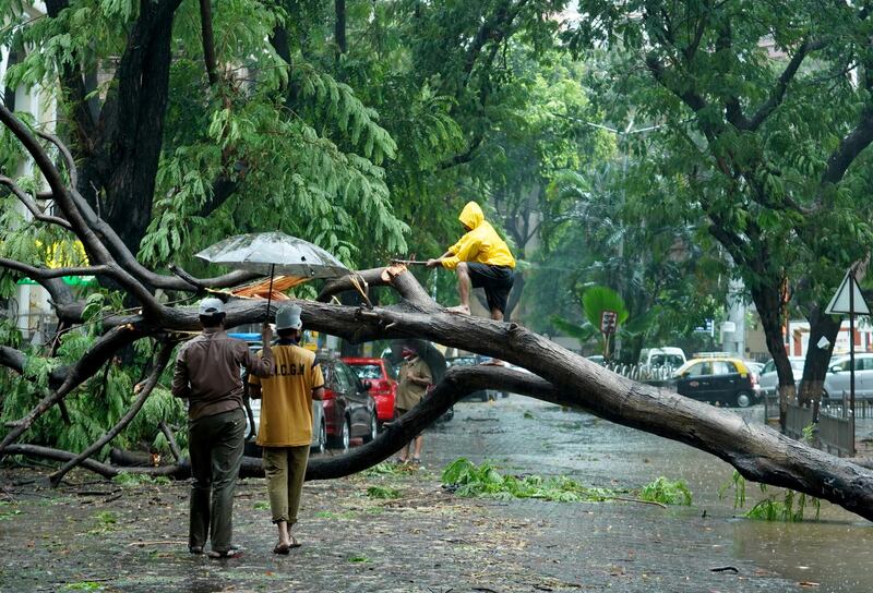 Men try to clear a road blocked by a fallen tree in Mumbai. Reuters