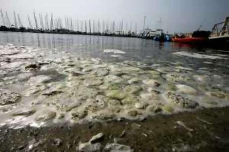DUBAI-SEPTEMBER 13,2008 - Oil spill pollute the water of Dubai Offshore Sailing Club in Jumeira beach road ,Dubai. ( Paulo Vecina/The National ) *** Local Caption ***  PV Oil 13.JPG
