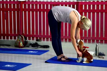 Puppy Pilates 7