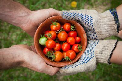 Growing your own food or flowers can lead to a sense of accomplishment. Photo: Elaine Casap / Unsplash