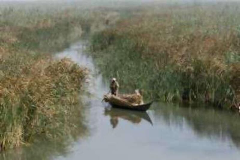 A Marsh Arab paddles a boat loaded with reeds he gathered in the historic swamplands.