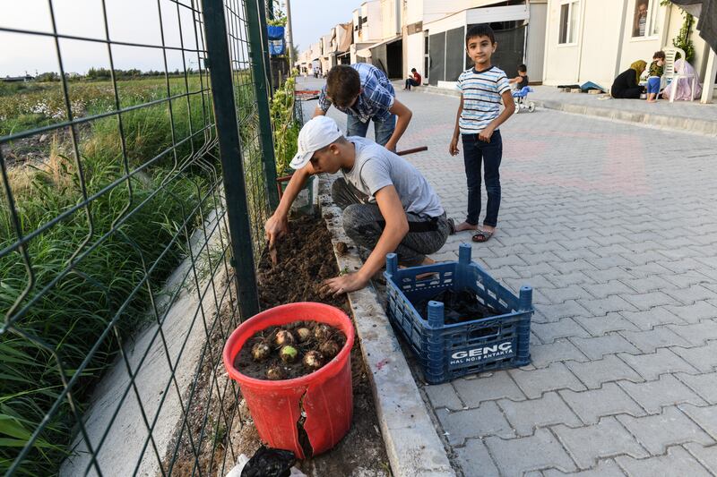 Syrian boys plant onions. Getty Images