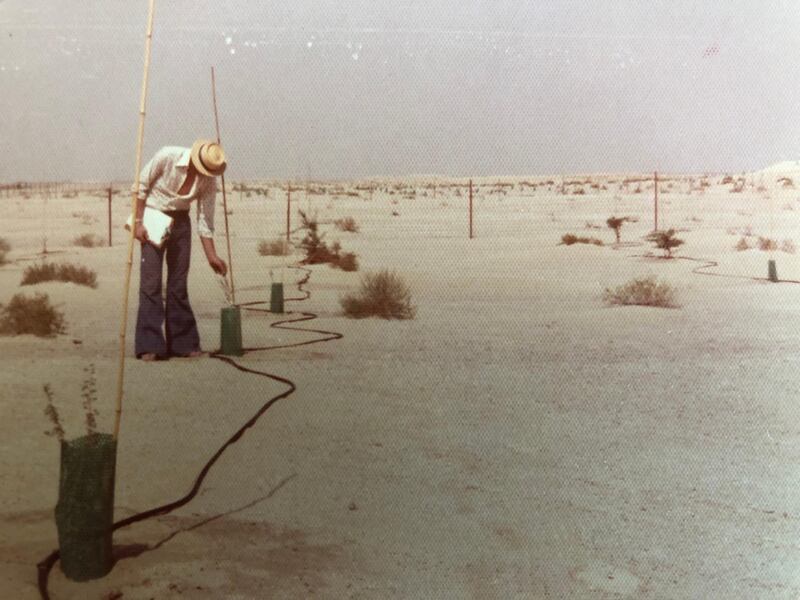 David Pryce tends to some newly planted ghaf trees at the camp Courtesy David Pryce