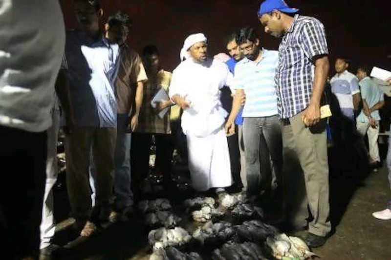 An Emirati auctioneer leads a group of quiet buyers around the small piles of fish laid out in lots.