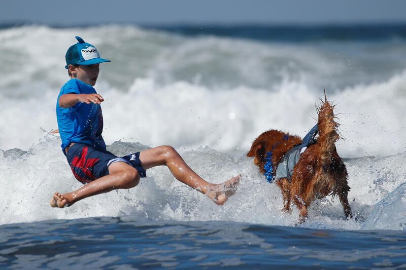 A boy falls while his dog keeps riding as they compete in the 14th annual Helen Woodward Animal Center "Surf-A-Thon". Reuters