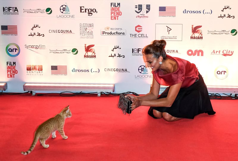 Egyptian actress Bushra Roza is photobombed by a cat as she arrives on the red carpet for the Cinegouna opening party at the El Gouna Film Festival wearing Zmilelee couture. AFP
