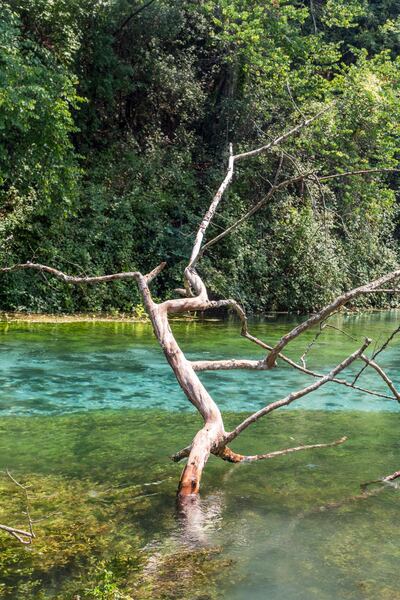 The remarkably cold, clear waters of the Blue Eye Lagoon in eastern Albania. Jamie Lafferty