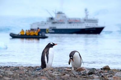 By offering travellers unique journeys in Antarctica, tour operators hope to create an army of Antarctic Ambassadors. Photo: Unsplash