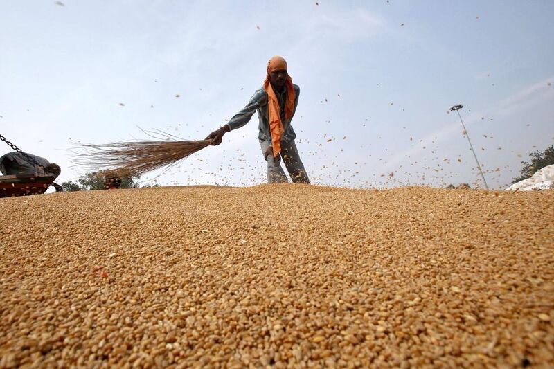 A labourer removes dust from wheat crops at a wholesale grain market in the northern Indian city of Chandigarh. Ajay Verma / Reuters